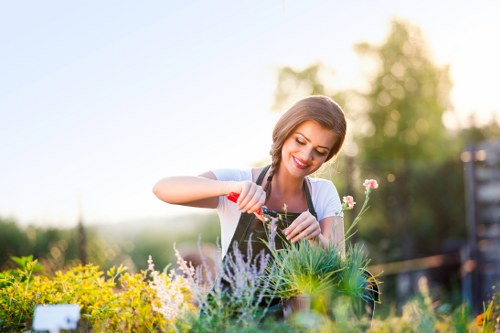 Gardeners Tulse Hill complaints procedure introduction