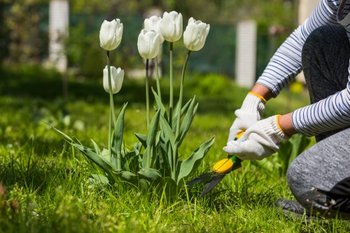 Professional response to a gardening complaint