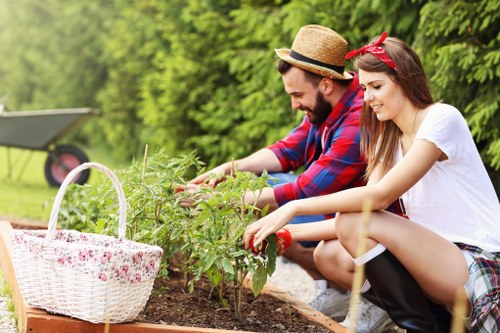 Professional lawn mowing for a neat Tulse Hill garden