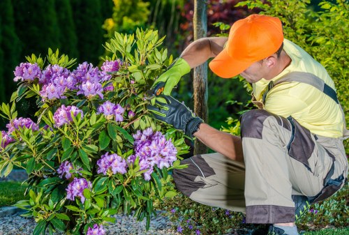 Image showing inclusive online access for Gardeners Tulse Hill
