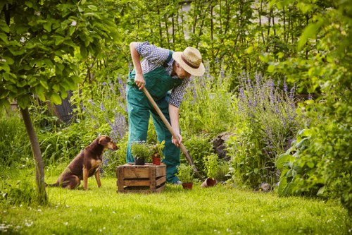 Lawn maintenance work in Tulse Hill with mower and trimmed turf
