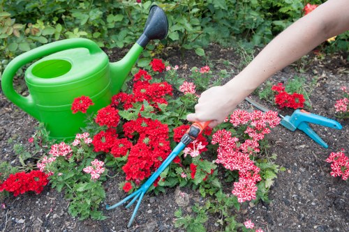 Gardening services in Tulse Hill for neat and healthy outdoor spaces