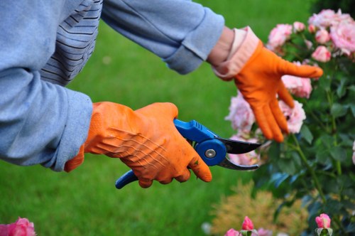 Tulse Hill garden clearance and landscaping support for properties