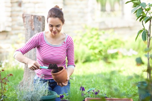 Professional patio washing removing moss in Tulse Hill