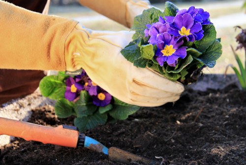Supplier audit checks for ethical gardening operations