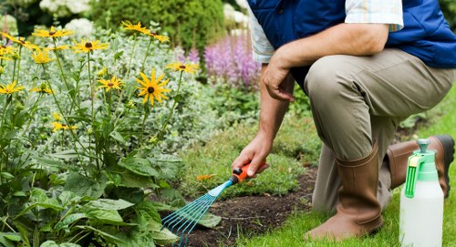 Professional garden care in Tulse Hill with tidy planted borders