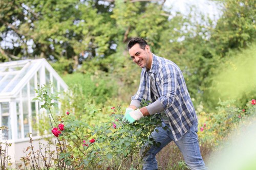 Local hedge trimming service keeping Tulse Hill gardens tidy