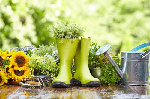 Professional lawn care and hedge trimming for a Tulse Hill garden