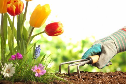 Stylish low-maintenance garden landscaping in Tulse Hill