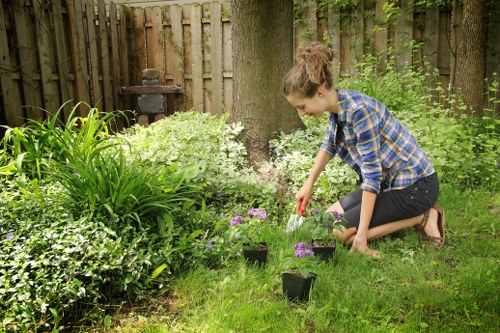 Reliable Tulse Hill gardeners improving a well-kept residential garden