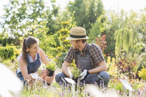 Professional gardening services in Tulse Hill for lawn care and pruning