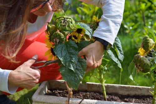Invoice and payment details for garden work