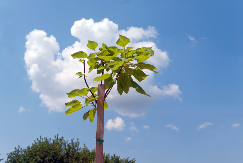 garden maintenance garden design