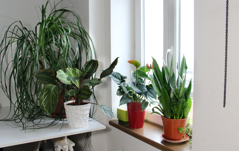 Garden home